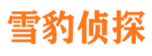 宾川捉小三公司